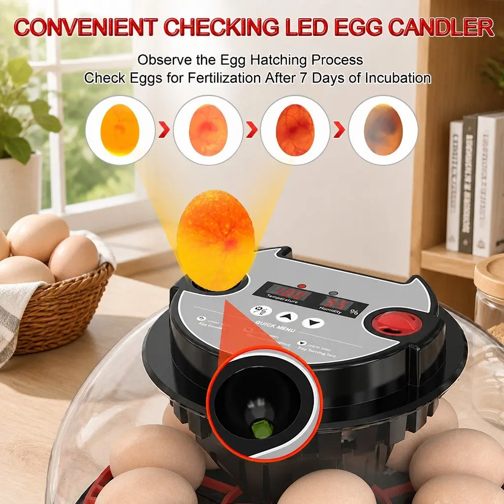 12 Egg Incubator Automatic Turning Temperature Humidity Control LED Display