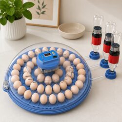 Reliable 52 Egg Incubator for Successful Hatching