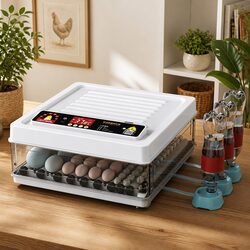 70 Egg Incubator Automatic Turning LED Display Temperature Humidity Control