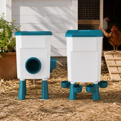 Reliable Automatic Chicken Feeding and Watering Solution