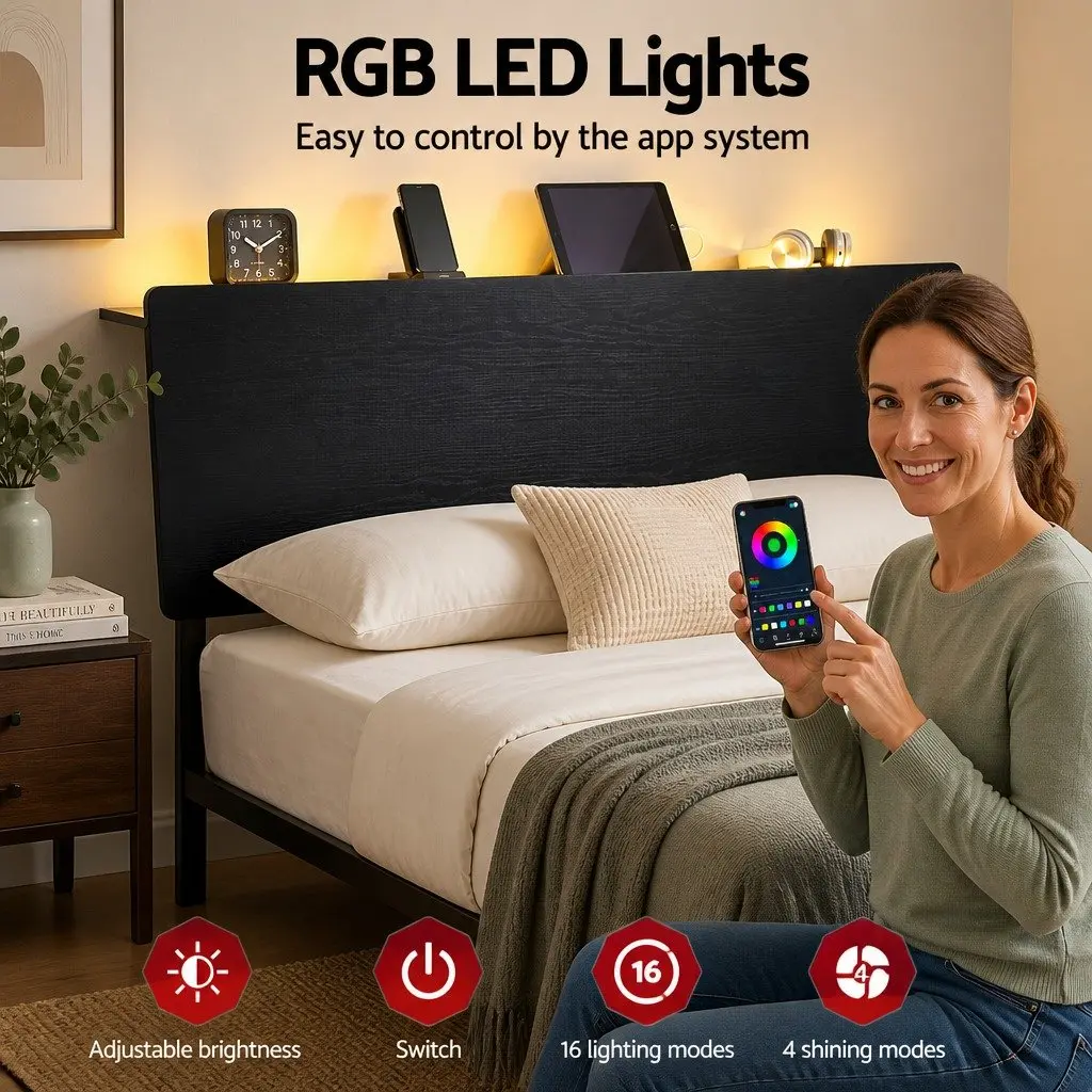 Queen Metal Bed Frame with LED and Storage Headboard