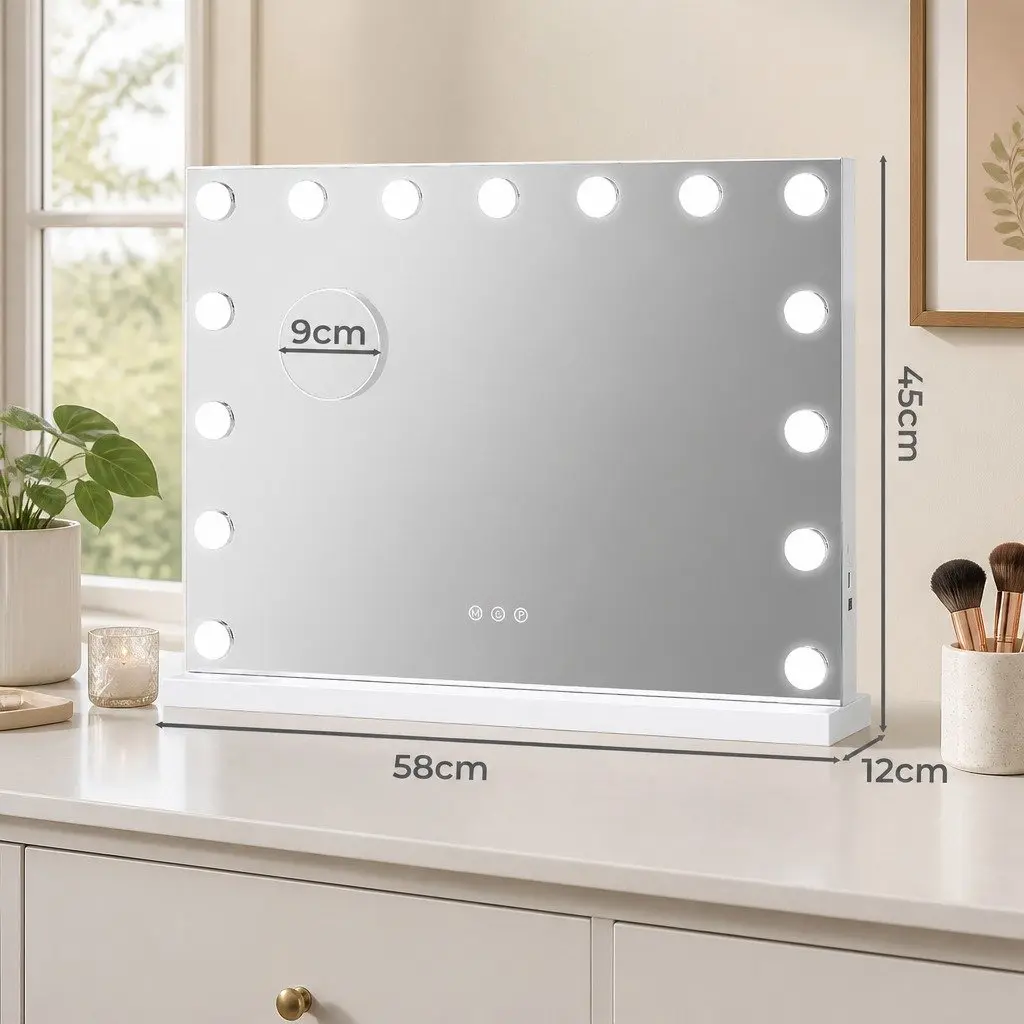 LED Vanity Mirror 45x58cm with Dimmable Lights
