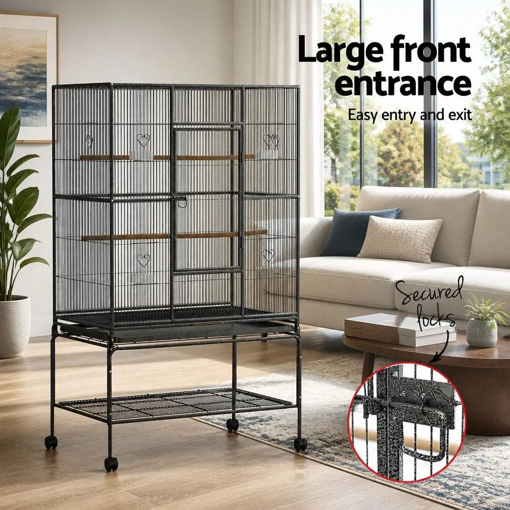 Bird Cage with Accessories