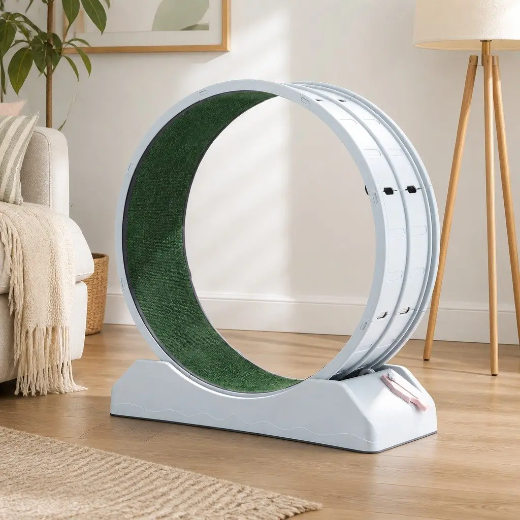 Cat Exercise Wheel Indoor 78cm Mute Roller Safety Lock Detachable Blue Green