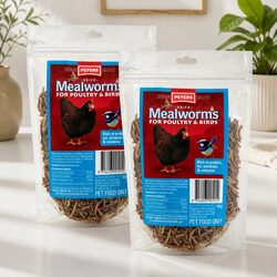 Nutritious Dried Mealworms for Birds 100g x2 Pack