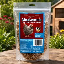 Dried Mealworms for Poultry Birds - 100g Treat