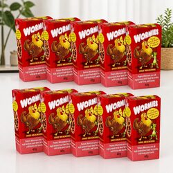 Dried Mealworm Treat 40g x10 for Healthy and Happy Birds