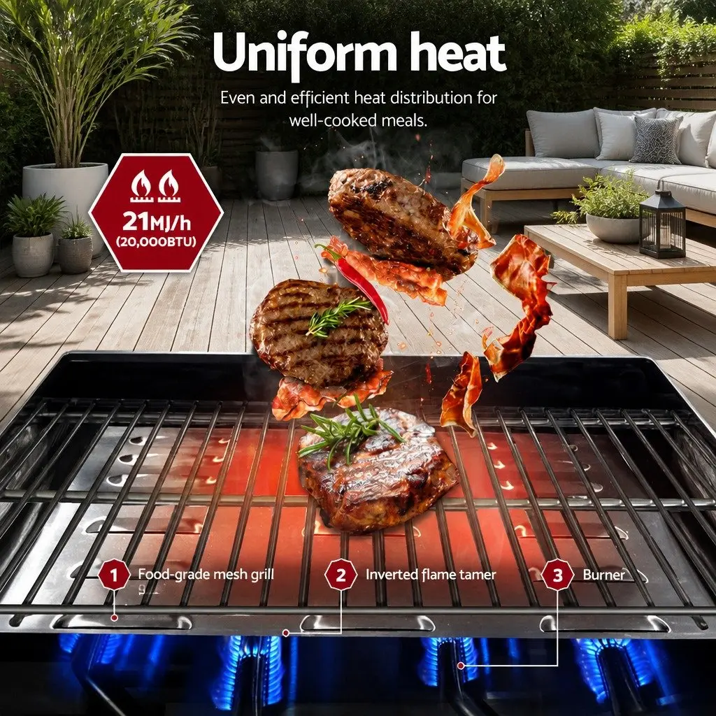 Portable Gas BBQ Grill with 2 Burners