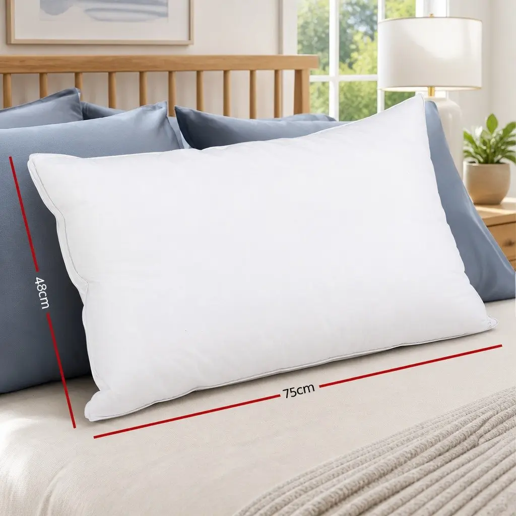 Goose Feather Down Pillow Head Neck Support Standard Size White Twin Pack