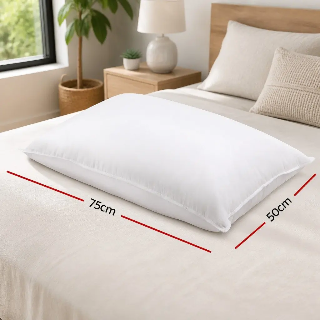 Goose Feather Down Pillow Twin Pack Hypo-Allergenic 75cm x 50cm White