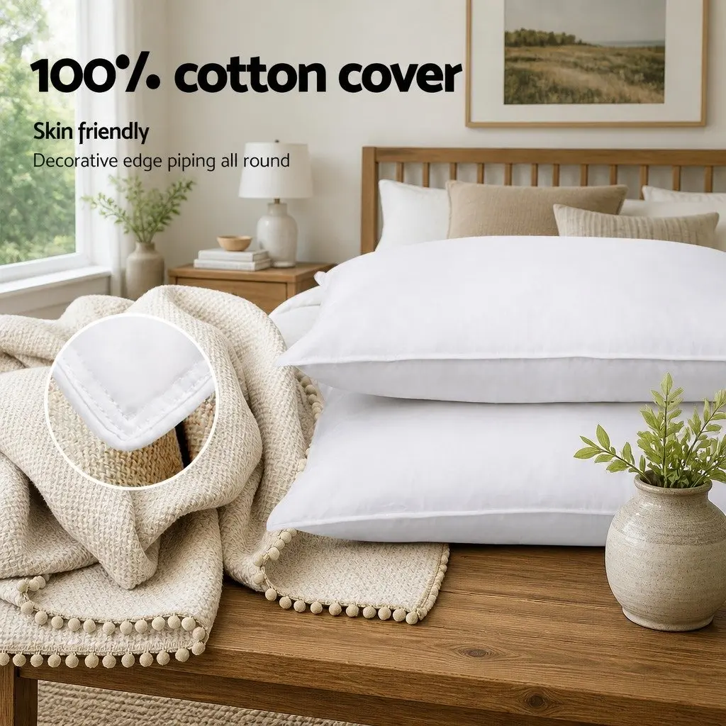 Goose Feather Down Pillow Twin Pack Hypo-Allergenic 75cm x 50cm White
