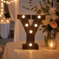 Value-Added LED Metal Letter Lights for Any Occasion