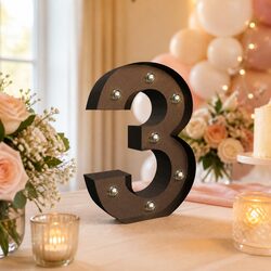 Reliable and Stylish LED Metal Letter Number Lights