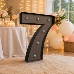 Reliable LED Letter and Number Lights for Lasting Use