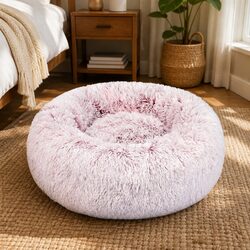 Value and Comfort: Your Pet's New Favorite Bed