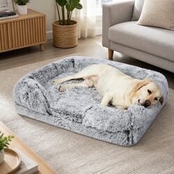 Cozy XL Orthopedic Dog Bed with Memory Foam