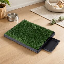Value and Convenience in Dog Potty Training