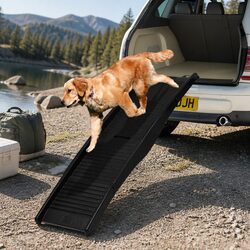 Foldable Pet Ramp: Safe, Lightweight, and Functional