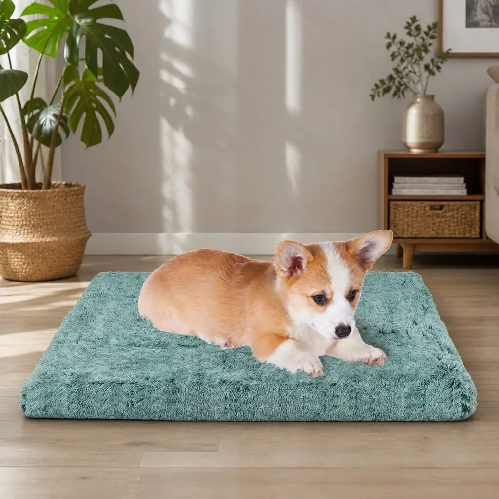 Memory Foam Pet Bed with Washable Cover