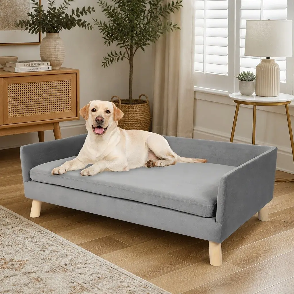 Pet Sofa Bed Elevated Dog Lounge Modern Grey Small Medium Breeds