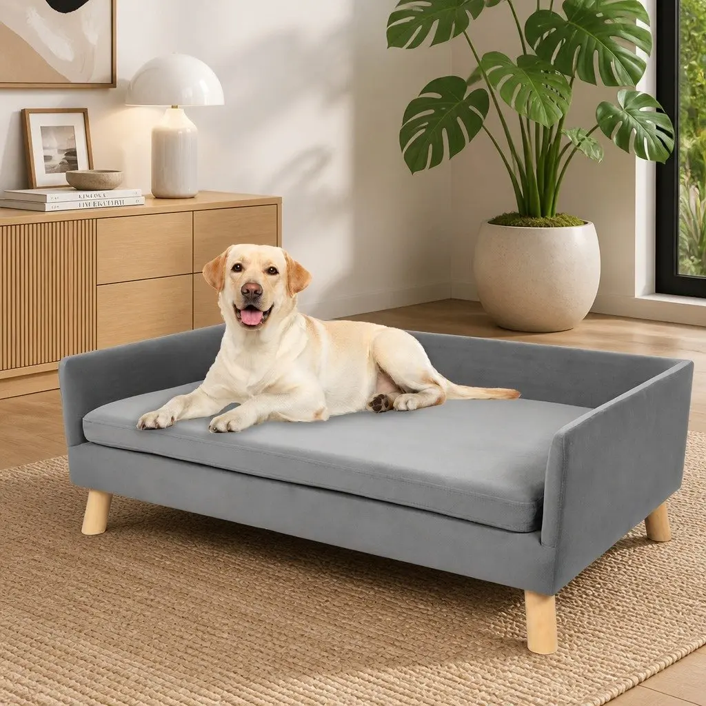 Pet Sofa Bed Elevated Dog Lounge Modern Grey Small Medium Breeds