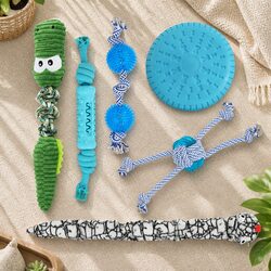 Dog Chew Toys Set Squeaky Puppy Pet Toys Snake Rope Frisbee Play Toys