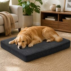 Comfortable Orthopaedic Pet Bed for Restful Nights