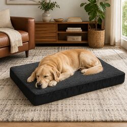 Comfortable XXL Orthopedic Dog Bed with Practical Features