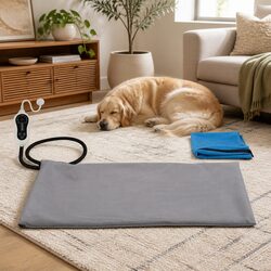 Comfort and Value in an Electric Heated Dog Bed