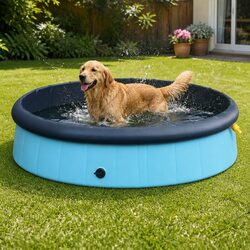 Value-Focused Folding Pet Pool for Safe Bathing