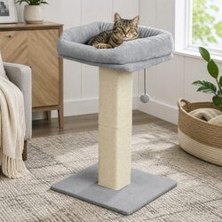 Reliable Cat Scratching Post with Comfort and Fun