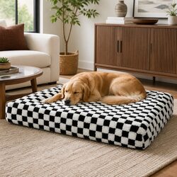 Durable Orthopedic Dog Bed with Essential Features