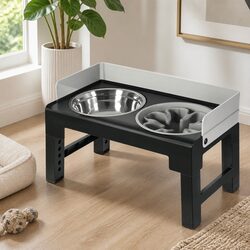 Comfortable Elevated Dog Feeder for Your Pup