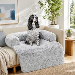 Comfort and Value Combined in a Pet Sofa Bed