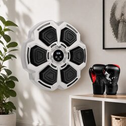 Smart Music Boxing Machine with 8OZ Gloves Wall Mount Home Workout Fitness