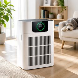 Reliable Pet Air Purifier with Auto Modes