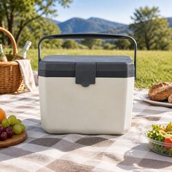 Reliable 6L Insulated Cooler Box for Outdoor Use
