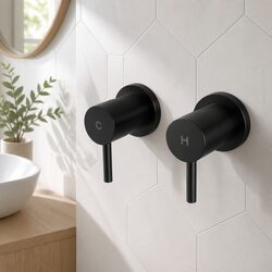 Reliable Matte Black Twin Taps for Everyday Use