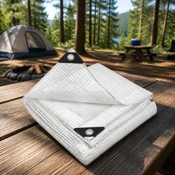 Clear Poly Tarp 4x7m Outdoor Camping Caravan Cover Heavy Duty Waterproof