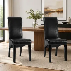 Comfortable and Stylish Dining Chairs Set of 2 in Black