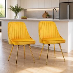 Quality Yellow Velvet Dining Chairs Set of 2 for Your Home