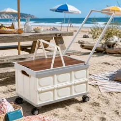 Value and Practicality in a 54L Storage Box