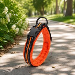 Comfortable XS Orange Heavy Duty Dog Collar with Safety Lock