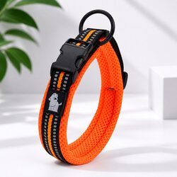 Heavy Duty Dog Collar Orange 2XL Reflective Safety Clip Buckle Leash Attachment