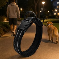 Warm and Reliable XS Heavy Duty Dog Collar in Black