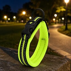Reliable Heavy Duty XL Dog Collar with Lock Clip