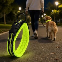 Dependable Reflective Dog Collar for Safe Walks