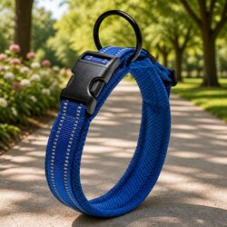Heavy Duty Reflective Dog Collar with Safety Lock Clip Buckle Stainless Steel