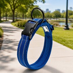 Heavy Duty Dog Collar Reflective Safety Buckle Stainless Steel O Ring Blue 2XL