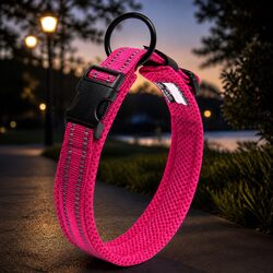 Comfortable and Reliable Reflective Dog Collar